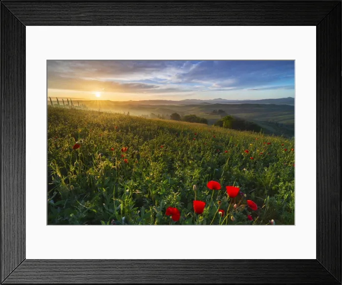 Framed Print : Sunrise at Podere Belvedere, San Quirico d Orcia, Siena, Tuscany, Italy, Southern Framed Print : Sunrise at Podere Belvedere, San Quirico d Orcia, Siena, Tuscany, Italy, Southern