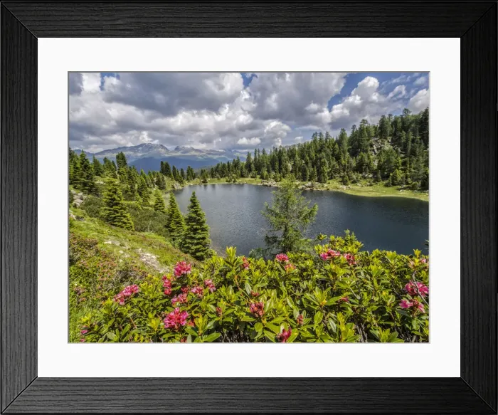 Framed Print : Italy, Dolomites, Rolle Pass, Colbricon lake Framed Print : Italy, Dolomites, Rolle Pass, Colbricon lake