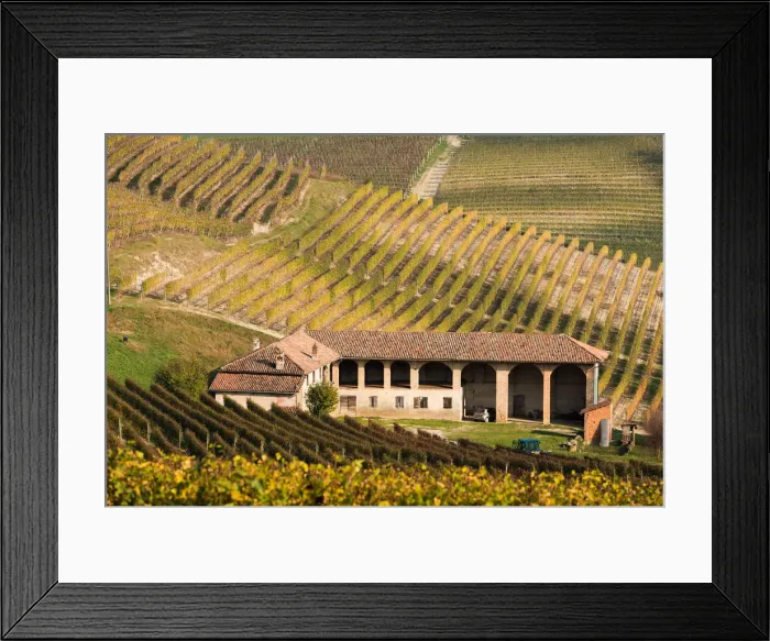 Framed Print : Italy, Piedmont, Cuneo district, Langhe, Barolo Framed Print : Italy, Piedmont, Cuneo district, Langhe, Barolo
