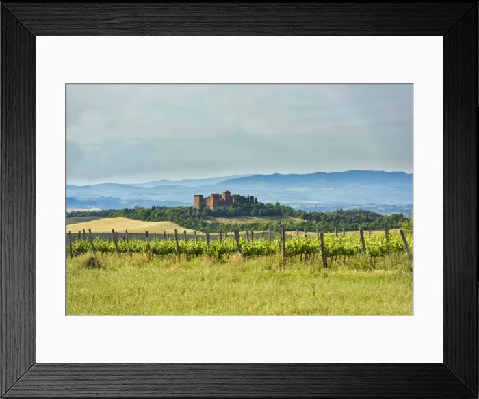 Framed Print : Italy, Tuscany, Orcia Valley, Asciano, Old castle Framed Print : Italy, Tuscany, Orcia Valley, Asciano, Old castle