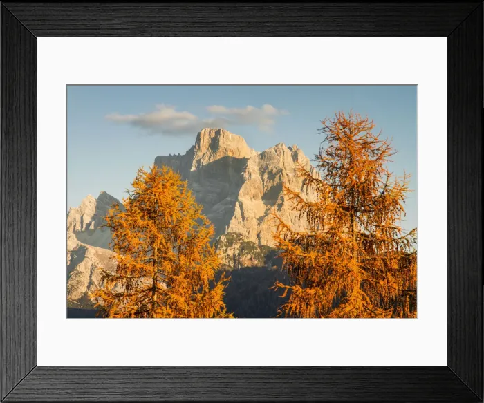 Framed Print : Pelmo mount between larix in autumn. Dolomites, Veneto, Italy Framed Print : Pelmo mount between larix in autumn. Dolomites, Veneto, Italy