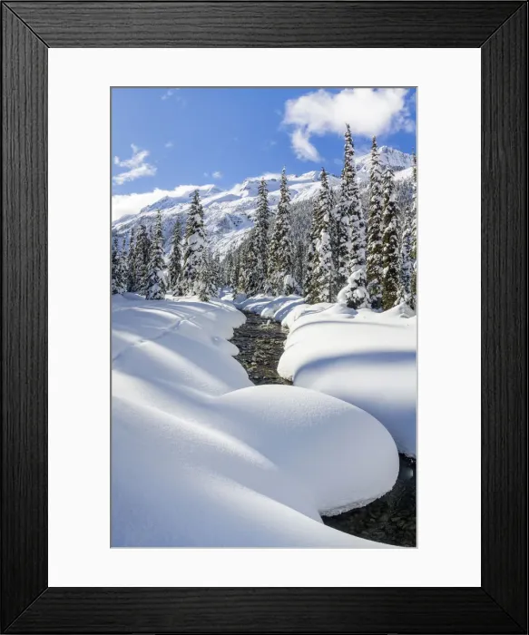 Framed Print : Asulkan valley after a winter snowfall. Roger pass, British Columbia, Canada Framed Print : Asulkan valley after a winter snowfall. Roger pass, British Columbia, Canada