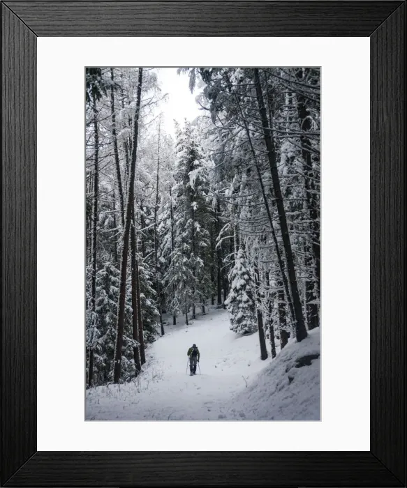 Framed Print : Alone hiker in a wood after a winter snowfall. Sondrio province, Valtellina, Lombardy Framed Print : Alone hiker in a wood after a winter snowfall. Sondrio province, Valtellina, Lombardy