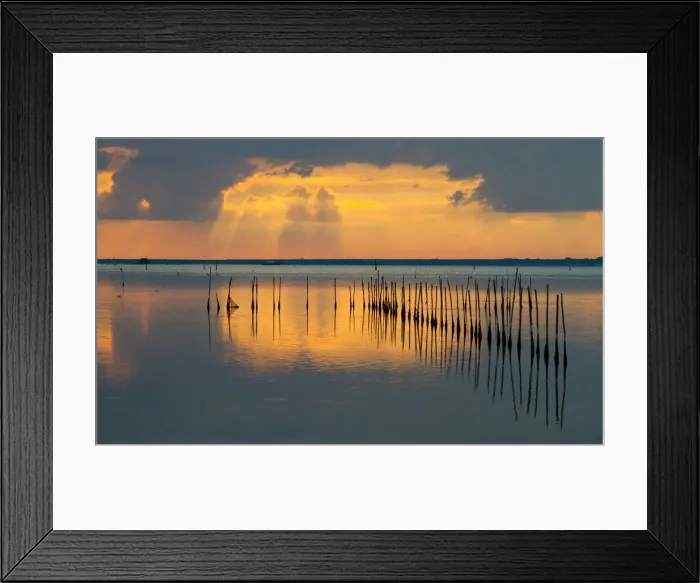 Framed Print : Po Delta, Emilia Romagna, Italy