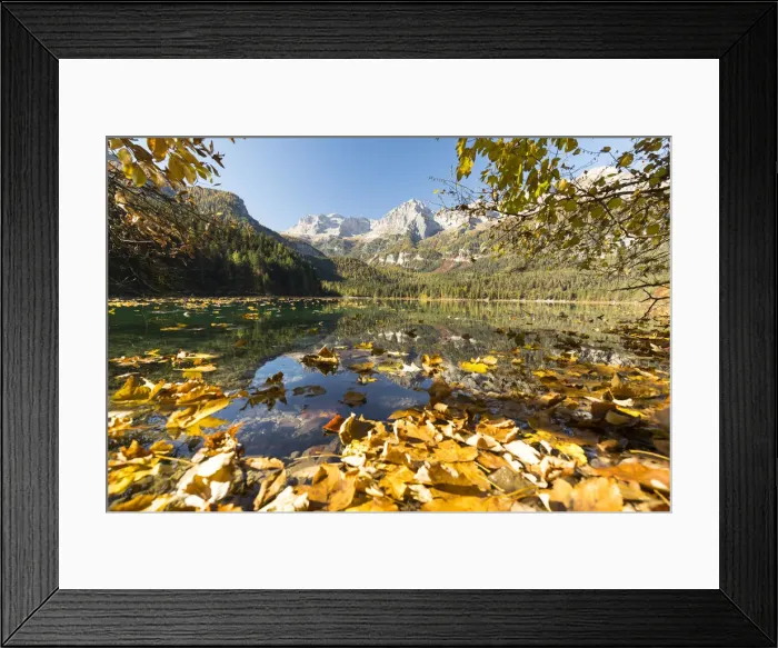 Framed Print : an autumnal view of the Tovel Lake (Lago di Tovel) with the Brenta Group in the background Framed Print : an autumnal view of the Tovel Lake (Lago di Tovel) with the Brenta Group in the background