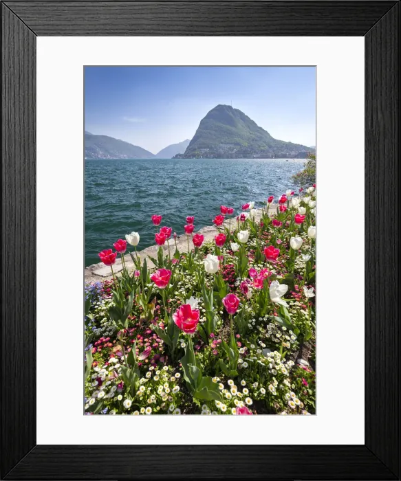 Framed Print : View of blooming flowerbed at Parco Ciani lakefront in Lugano city on a spring day Framed Print : View of blooming flowerbed at Parco Ciani lakefront in Lugano city on a spring day