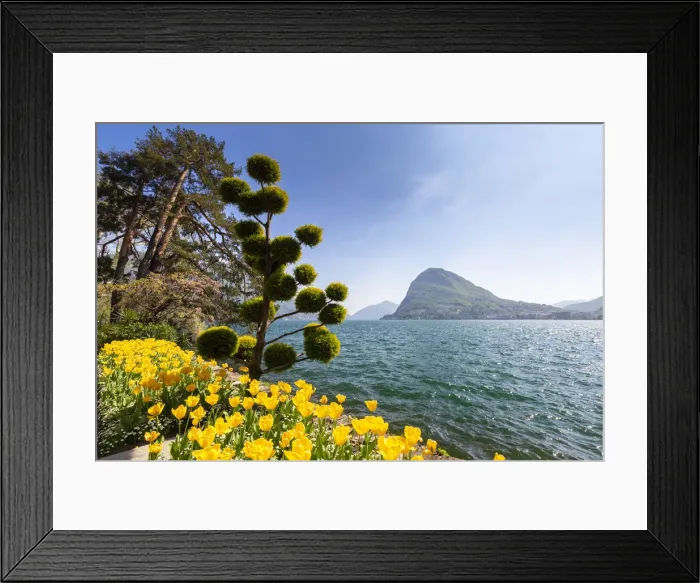 Framed Print : View of blooming flowerbed at Parco Ciani lakefront in Lugano city on a spring day