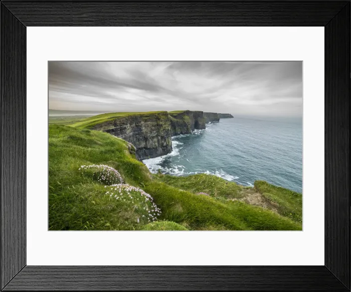 Framed Print : Cliffs of Moher with flowers on the foreground. Liscannor, Munster, Co. Clare, Ireland Framed Print : Cliffs of Moher with flowers on the foreground. Liscannor, Munster, Co. Clare, Ireland