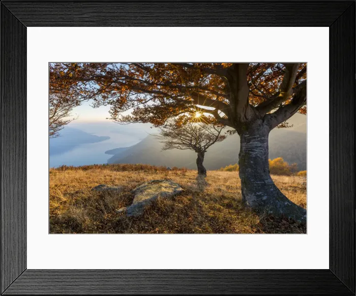 Framed Print : Beech trees at sunset with Lake Como on the background. Alto Lario, Como, Lombardy Framed Print : Beech trees at sunset with Lake Como on the background. Alto Lario, Como, Lombardy