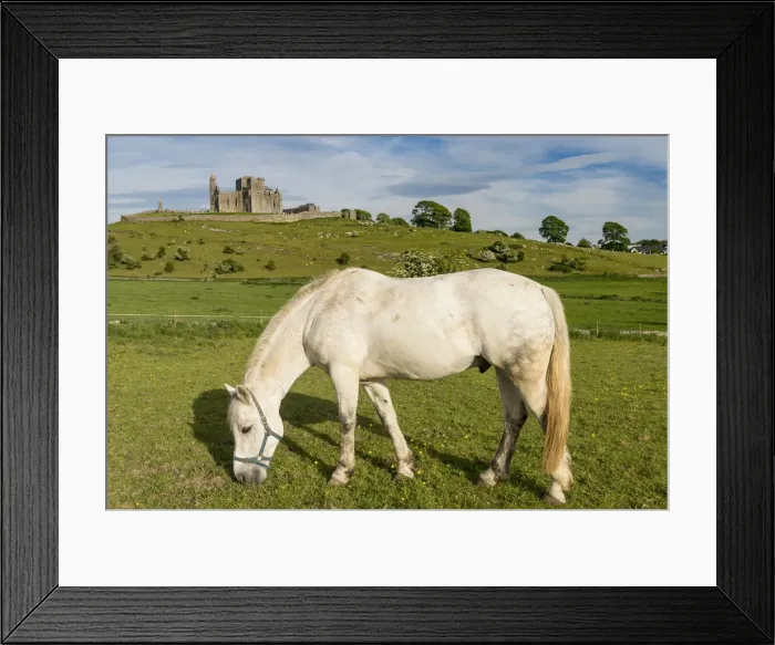 Framed Print : Horse grazing with Rock of Cashel on the background. Cashel, Co. Tipperary, Munster Framed Print : Horse grazing with Rock of Cashel on the background. Cashel, Co. Tipperary, Munster