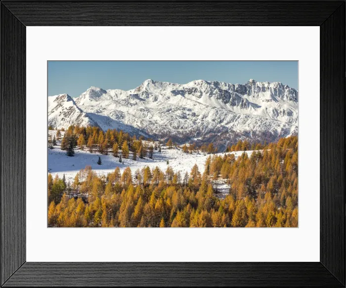 Framed Print : Mountain peaks covered in snow with autumnal larches. Valmalenco, Valtellina, Sondrio Framed Print : Mountain peaks covered in snow with autumnal larches. Valmalenco, Valtellina, Sondrio
