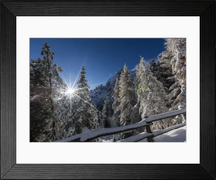 Framed Print : Pines and fence covered in snow. Passo delle Erbe, Bolzano, Trentino Alto Adige Framed Print : Pines and fence covered in snow. Passo delle Erbe, Bolzano, Trentino Alto Adige