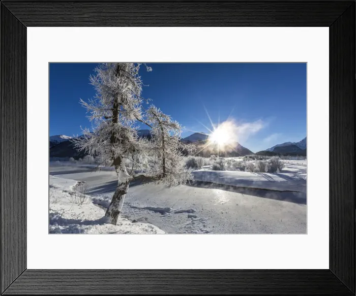 Framed Print : Winter landscape with trees covered in hoarfrost Framed Print : Winter landscape with trees covered in hoarfrost