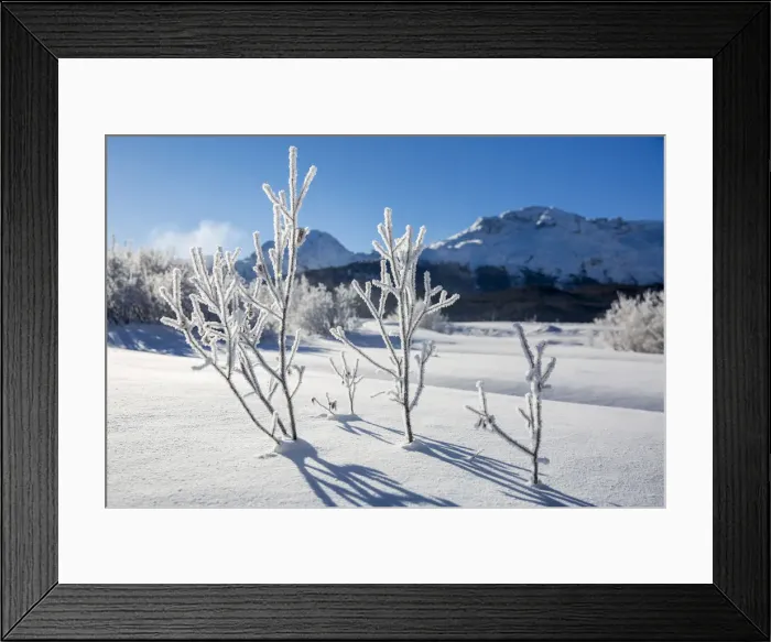 Framed Print : Winter landscape with trees covered in hoarfrost