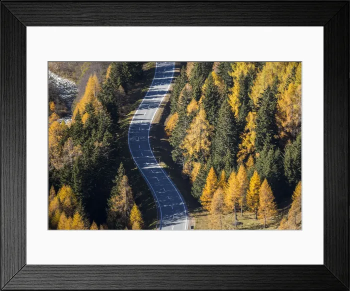 Framed Print : Road in autumnal environment. Maloja Pass, Engadin, Graubunden, Switzerland Framed Print : Road in autumnal environment. Maloja Pass, Engadin, Graubunden, Switzerland