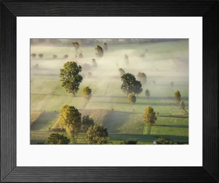 Framed Print : Fog in the fields at Valtellina, Lombardy, Italy Framed Print : Fog in the fields at Valtellina, Lombardy, Italy