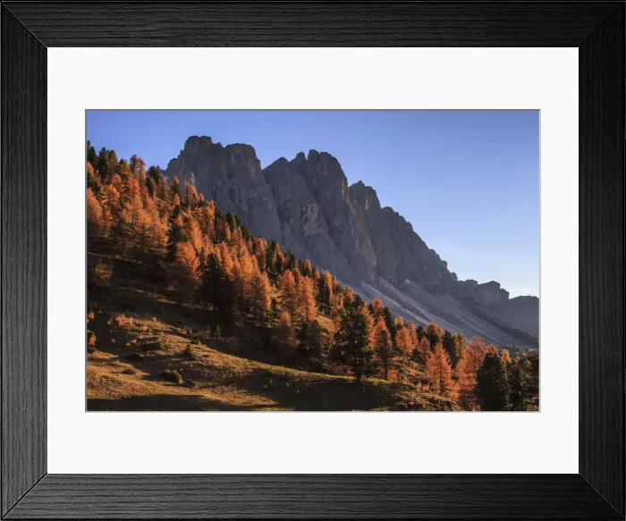Framed Print : Odle, autumn colors in Funes valley, in the background the Furchetta peak at Sass Framed Print : Odle, autumn colors in Funes valley, in the background the Furchetta peak at Sass