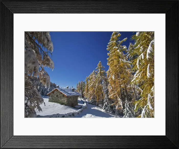 Framed Print : Snowy autumn at Malenco valley, Lombardy, Italy Framed Print : Snowy autumn at Malenco valley, Lombardy, Italy