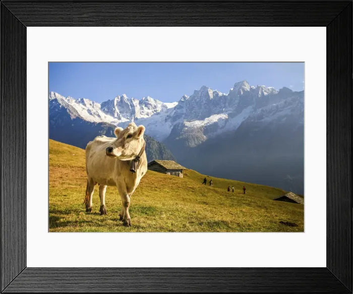 Framed Print : Switzerland, Tombal, in the background the Sciore peak, Cengalo peak, Bregaglia valley Framed Print : Switzerland, Tombal, in the background the Sciore peak, Cengalo peak, Bregaglia valley