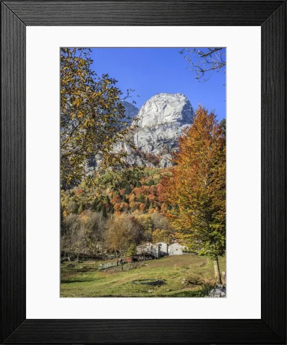 Framed Print : Autumn in Mello valley, in the background Precipizio of Asteroidi, Valtellina, Lombardy Framed Print : Autumn in Mello valley, in the background Precipizio of Asteroidi, Valtellina, Lombardy