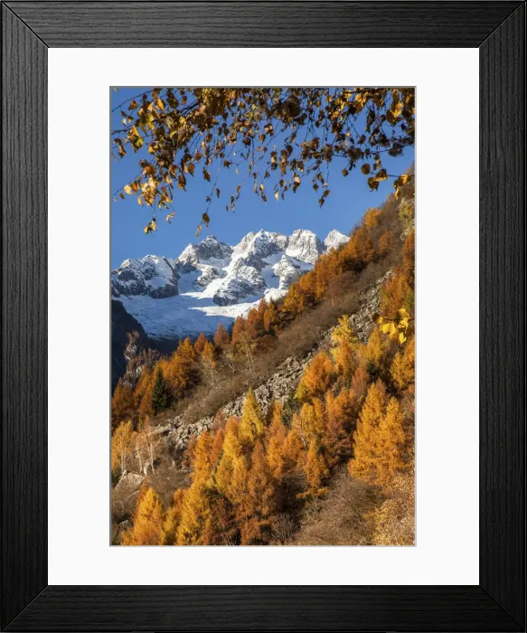 Framed Print : Masino valley in autumn, in the background Ferro peaks, Lombardy, Italy Framed Print : Masino valley in autumn, in the background Ferro peaks, Lombardy, Italy