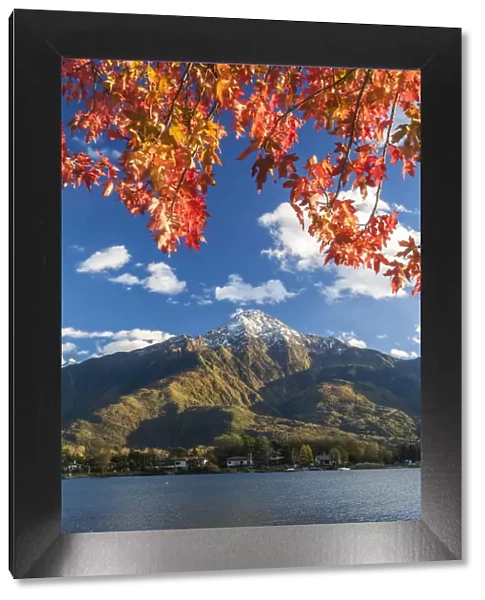 Autumn colors on the Como lake, in the background Legnone peak