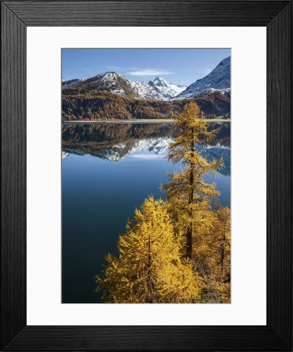 Framed Print : Sils lake, Engiadine, Graubunden, Switzerland Framed Print : Sils lake, Engiadine, Graubunden, Switzerland
