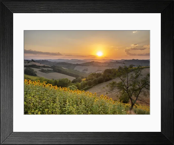 Framed Print : Sant Isidoro, Monterubbiano, provinve of Fermo, Marche, Italy, Europe