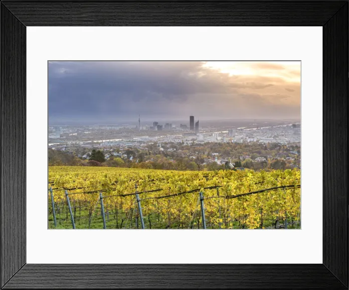 Framed Print : Grinzing, Vienna, Austria, Europe. View at sunrise from the vineyards around Grinzing Framed Print : Grinzing, Vienna, Austria, Europe. View at sunrise from the vineyards around Grinzing