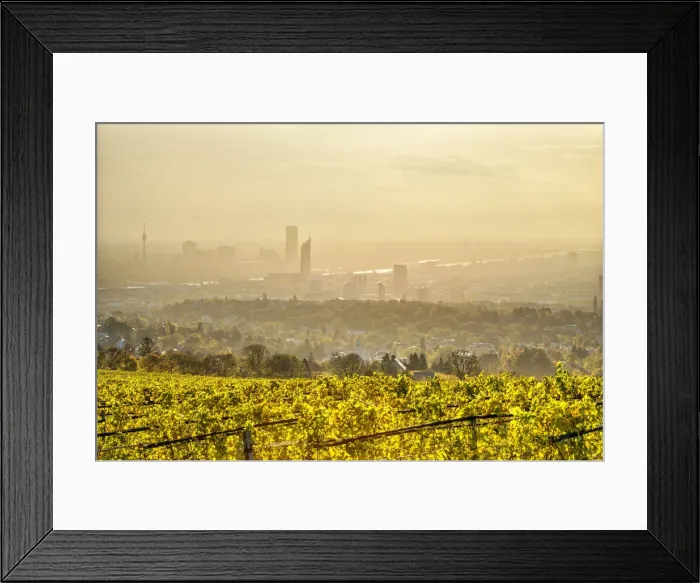 Framed Print : Grinzing, Vienna, Austria, Europe. View at sunrise from the vineyards around Grinzing Framed Print : Grinzing, Vienna, Austria, Europe. View at sunrise from the vineyards around Grinzing
