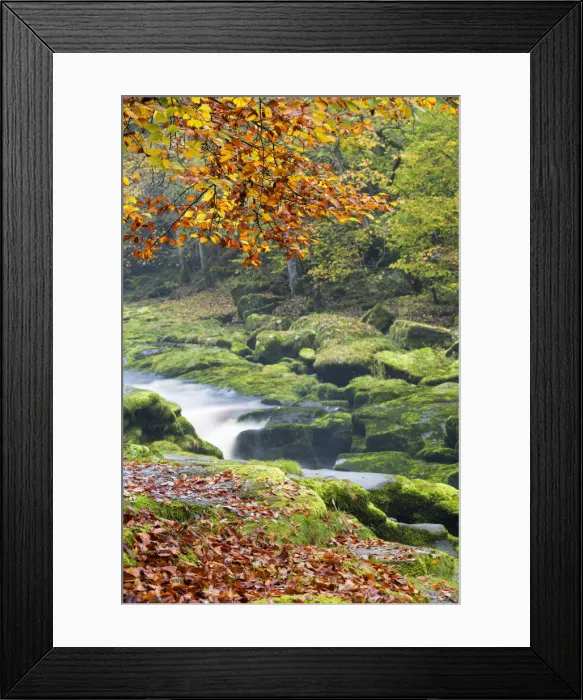 Framed Print : United Kingdom, England, North Yorkshire, Skipton Framed Print : United Kingdom, England, North Yorkshire, Skipton
