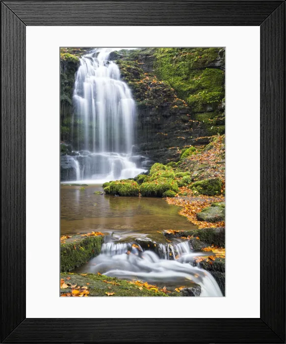 Framed Print : United Kingdom, England, North Yorkshire, Settle, Scaleber Force in Autumn Framed Print : United Kingdom, England, North Yorkshire, Settle, Scaleber Force in Autumn