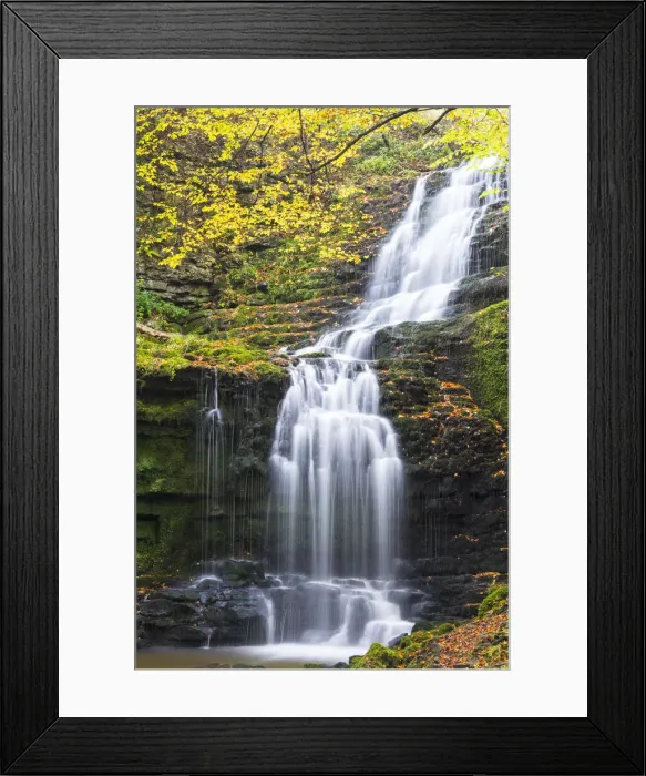 Framed Print : United Kingdom, England, North Yorkshire, Settle, Scaleber Force in Autumn Framed Print : United Kingdom, England, North Yorkshire, Settle, Scaleber Force in Autumn
