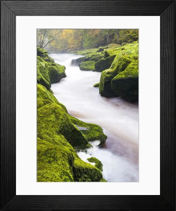 Framed Print : United Kingdom, England, North Yorkshire, Skipton Framed Print : United Kingdom, England, North Yorkshire, Skipton