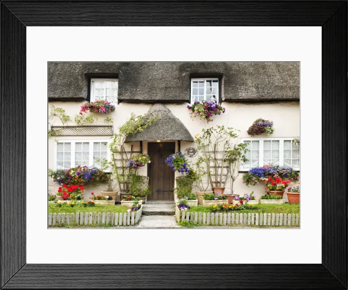 Framed Print : Traditional cottage in West Lulworth, Dorset, UK Framed Print : Traditional cottage in West Lulworth, Dorset, UK