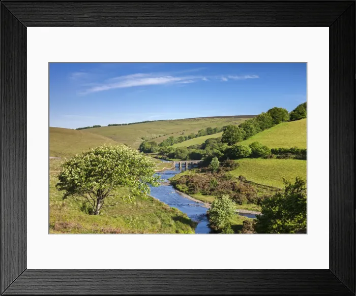 Framed Print : Landacre Bridge and the River Barle, Exmoor National Park, Somerset, England. Spring Framed Print : Landacre Bridge and the River Barle, Exmoor National Park, Somerset, England. Spring