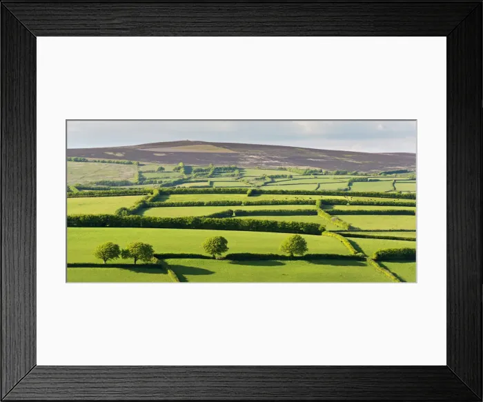Framed Print : Patchwork rolling countryside below Dunkery Beacon, Exmoor, Somerset, England. Spring Framed Print : Patchwork rolling countryside below Dunkery Beacon, Exmoor, Somerset, England. Spring