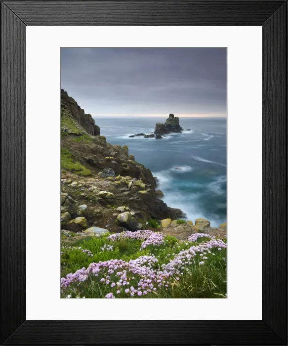 Framed Print : Thrift growing on the cliffs of Lands End, looking towards the Armed Knight Framed Print : Thrift growing on the cliffs of Lands End, looking towards the Armed Knight