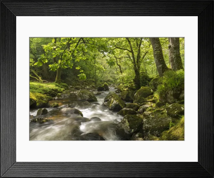 Framed Print : River Plym rushing through Dewerstone Wood, Shaugh Prior, Dartmoor, Devon, England Framed Print : River Plym rushing through Dewerstone Wood, Shaugh Prior, Dartmoor, Devon, England