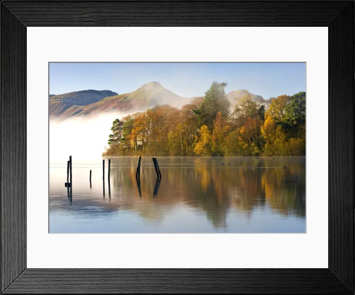 Framed Print : Autumn foliage on the banks of Derwent Water, Keswick, Lake District National Park Framed Print : Autumn foliage on the banks of Derwent Water, Keswick, Lake District National Park