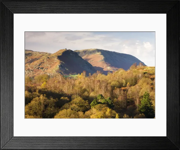 Framed Print : Helm Crag and Steel Fell mountains behind autumnal woodland, Grasmere, Lake District Framed Print : Helm Crag and Steel Fell mountains behind autumnal woodland, Grasmere, Lake District
