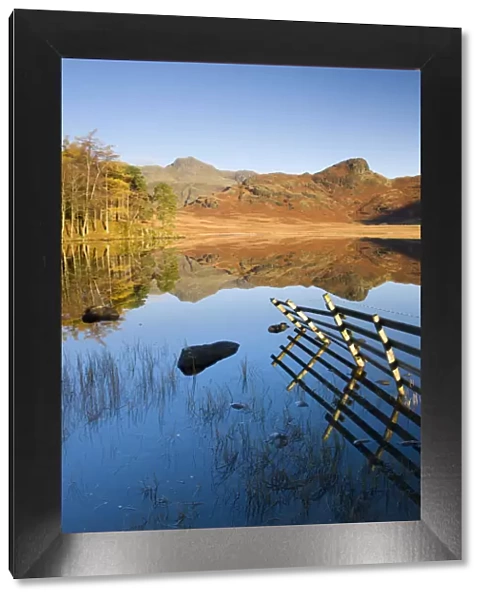 Mirror like reflections at Blea Tarn, Lake District National Park, Cumbria, England, UK