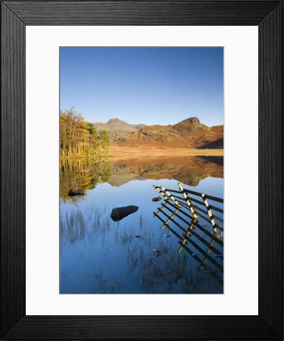 Framed Print : Mirror like reflections at Blea Tarn, Lake District National Park, Cumbria, England, UK