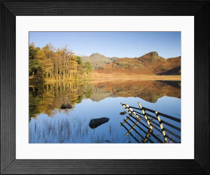 Framed Print : Langdale Pikes reflected in a mirror like Blea Tarn in the early morning, Lake District Framed Print : Langdale Pikes reflected in a mirror like Blea Tarn in the early morning, Lake District