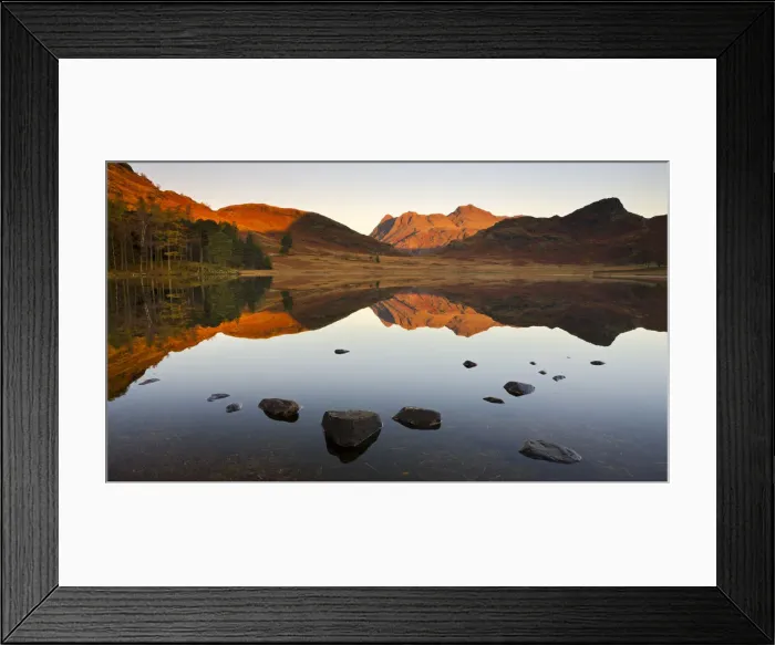 Framed Print : The Langdale Pikes reflected in a mirrorlike Blea Tarn at sunrise, Lake District National