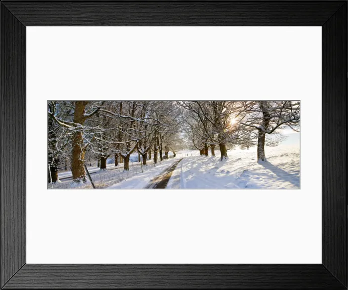 Framed Print : Country Lane in Winter, Melbury Deer Park, Dorset, England Framed Print : Country Lane in Winter, Melbury Deer Park, Dorset, England