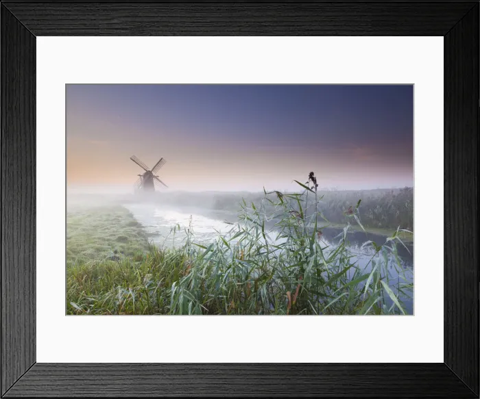 Framed Print : Herringfleet Mill in Mist, Suffolk, England Framed Print : Herringfleet Mill in Mist, Suffolk, England