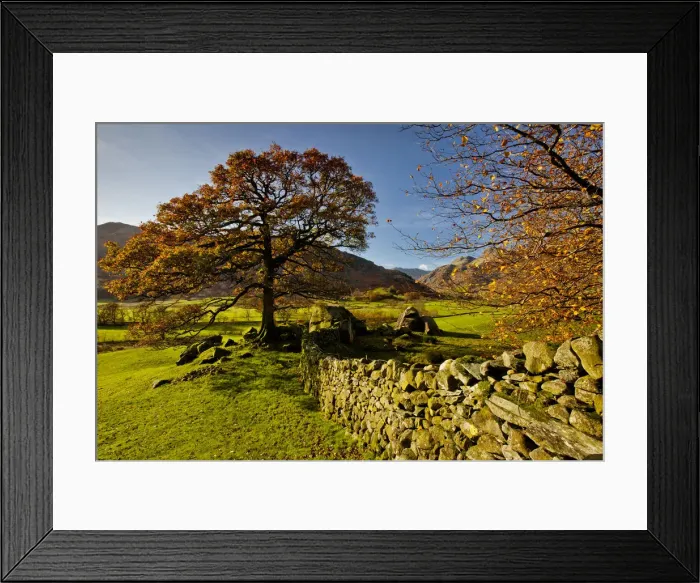 Framed Print : Stonewall & Tree in Autumn, Great Langdale, Lake District National Park, Cumbria, England Framed Print : Stonewall & Tree in Autumn, Great Langdale, Lake District National Park, Cumbria, England