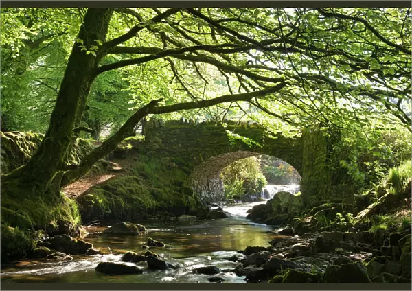 Picturesque Robbers Bridge near Oare, Exmoor, Somerset, England. Spring (May)
