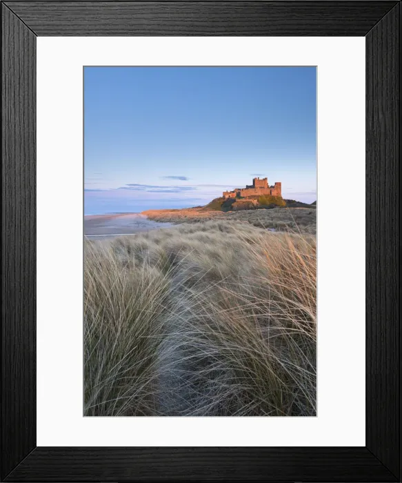 Framed Print : Evening sunlight illuminates Bamburgh Castle, Northumberland, England. Spring (April)